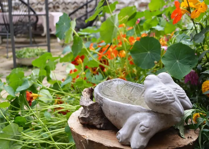 度假居 Eskiz - Our Stone *